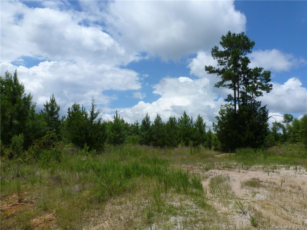 0 Cannery Road Lancaster, SC 29720 - Photo 2 of 4