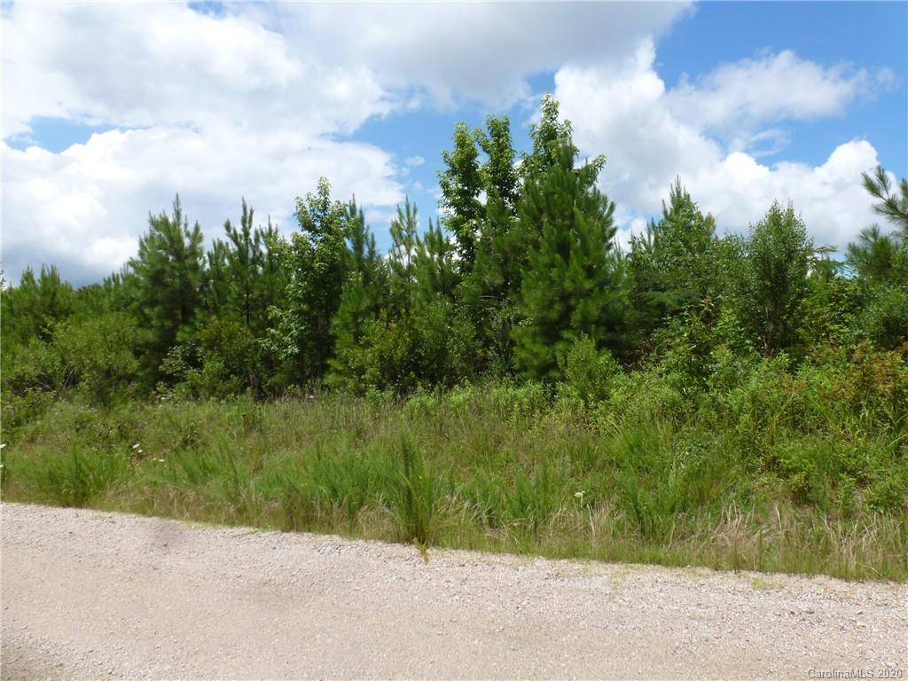 0 Cannery Road Lancaster, SC 29720 - Photo 4 of 4