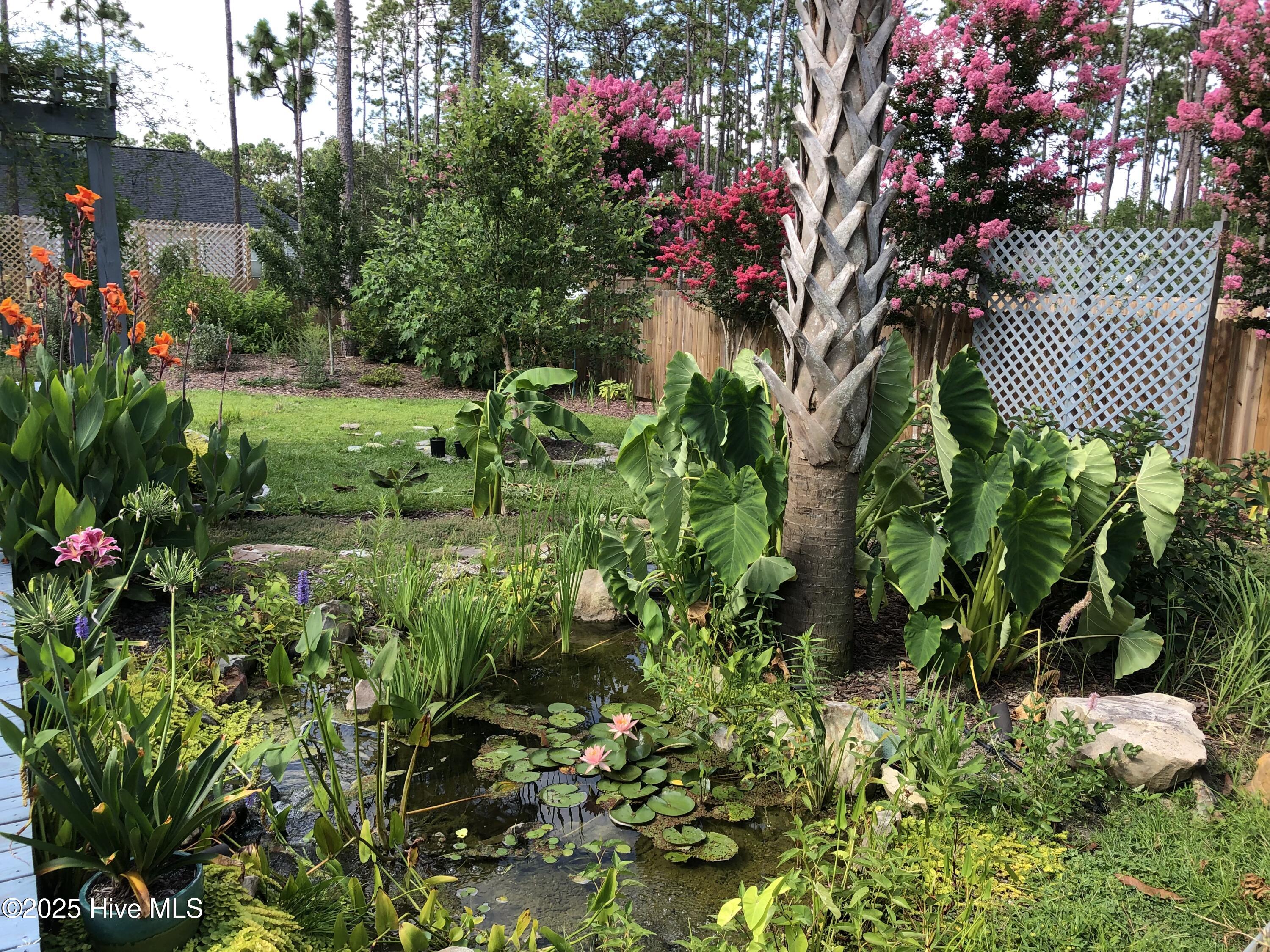 872 Batten Road Southport, NC 28461 - Photo 91 of 110 Tropical Garden