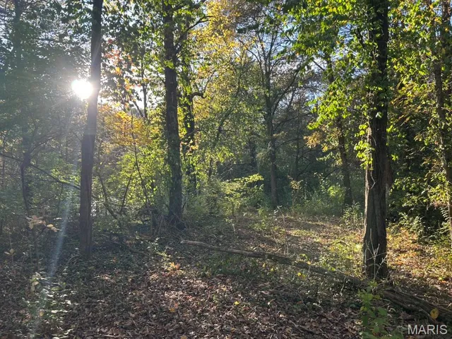 $16,000 | 410 Oak Drive, Gray Summit, MO 63039