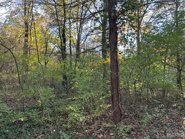 $16,000 | 410 Oak Drive, Gray Summit, MO 63039