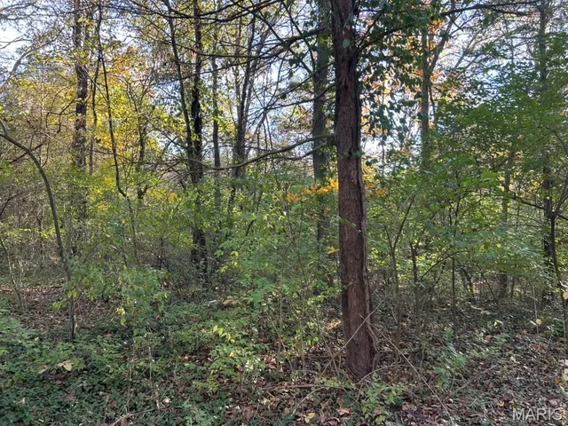 $16,000 | 410 Oak Drive, Gray Summit, MO 63039