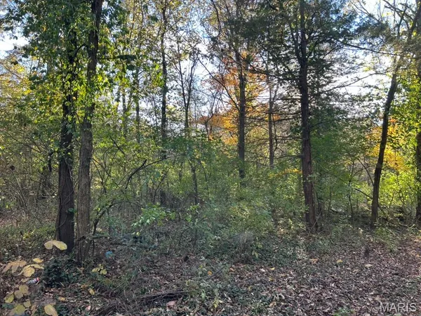 $16,000 | 410 Oak Drive, Gray Summit, MO 63039