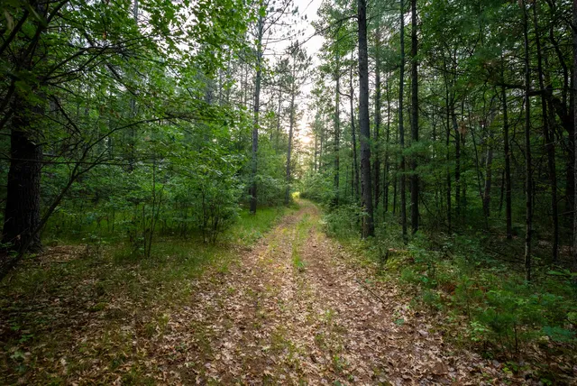 $4,149,000 | 404 Barry Drive, Alger, MI 48610