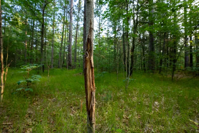 $4,149,000 | 404 Barry Drive, Alger, MI 48610