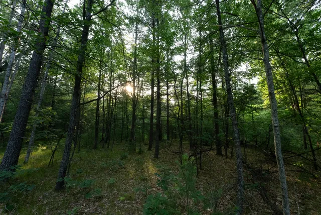 $4,149,000 | 404 Barry Drive, Alger, MI 48610