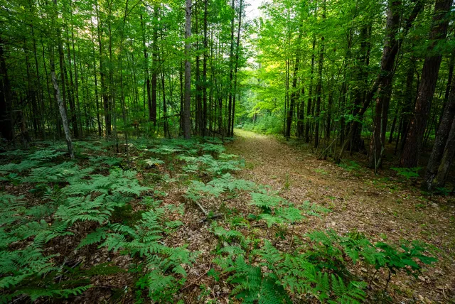 $4,149,000 | 404 Barry Drive, Alger, MI 48610