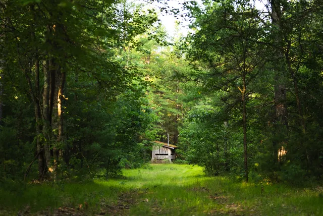 $4,149,000 | 404 Barry Drive, Alger, MI 48610