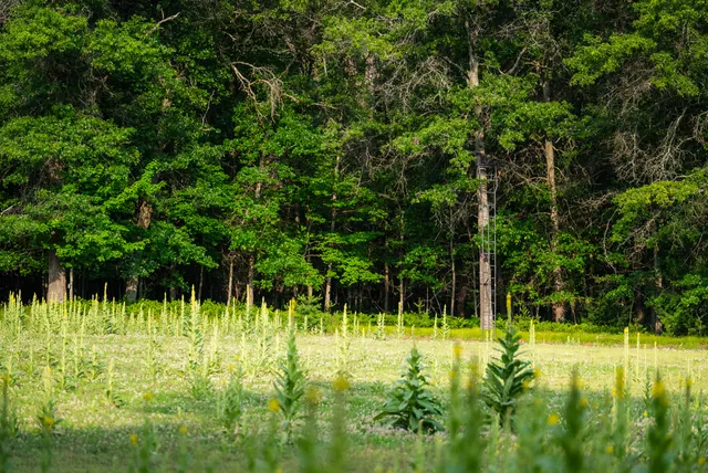 $4,149,000 | 404 Barry Drive, Alger, MI 48610