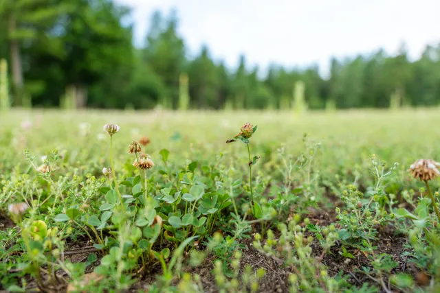 $4,149,000 | 404 Barry Drive, Alger, MI 48610