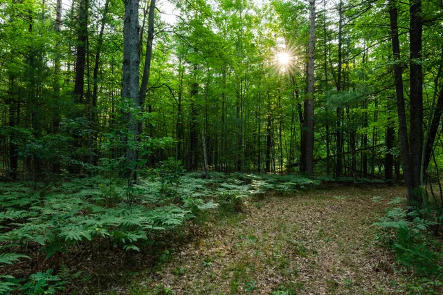 $4,149,000 | 404 Barry Drive, Alger, MI 48610