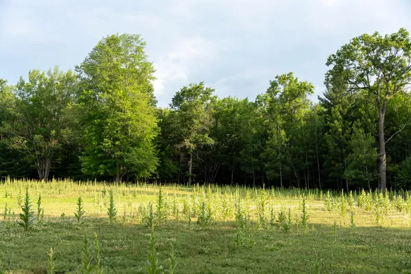 $4,150,000 | 404 Barry Drive, Alger, MI 48610