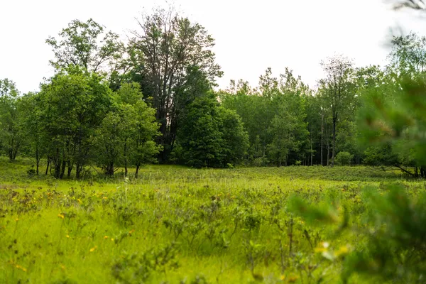 $4,150,000 | 404 Barry Drive, Alger, MI 48610