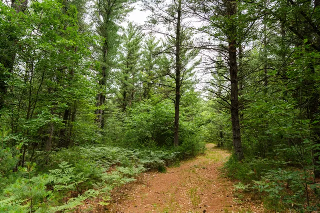 $4,149,000 | 404 Barry Drive, Alger, MI 48610