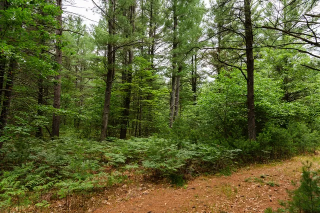 $4,149,000 | 404 Barry Drive, Alger, MI 48610