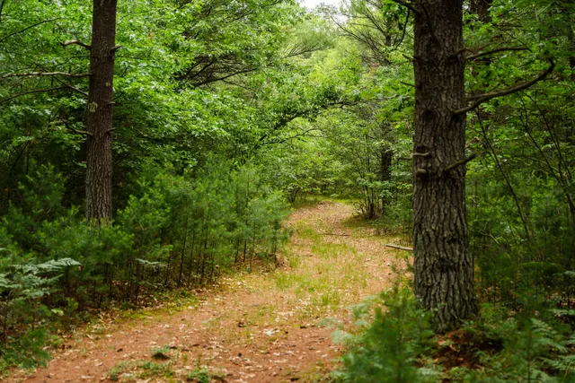 $4,149,000 | 404 Barry Drive, Alger, MI 48610