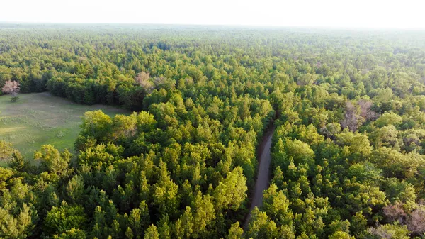 $4,150,000 | 404 Barry Drive, Alger, MI 48610