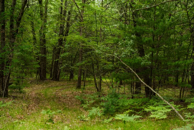 $4,149,000 | 404 Barry Drive, Alger, MI 48610