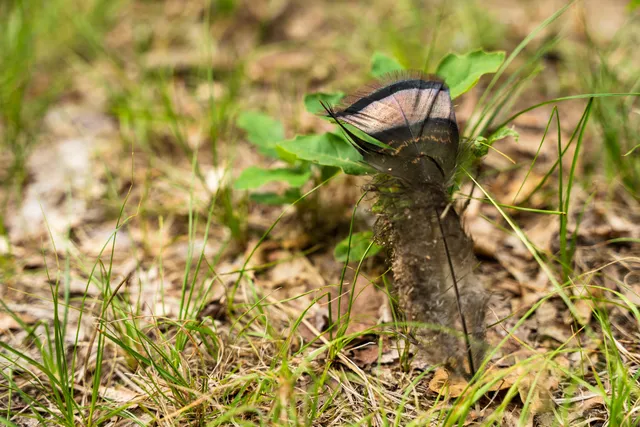 $4,149,000 | 404 Barry Drive, Alger, MI 48610