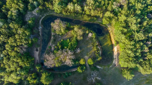 $4,149,000 | 404 Barry Drive, Alger, MI 48610