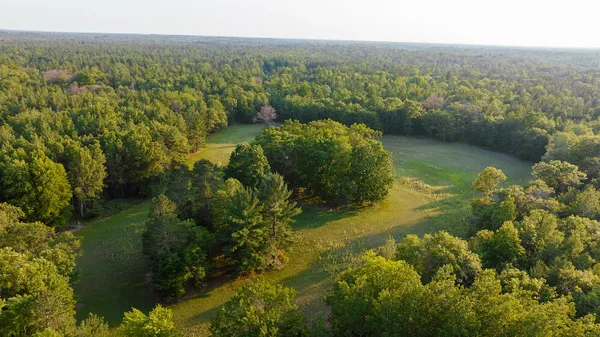 $4,150,000 | 404 Barry Drive, Alger, MI 48610