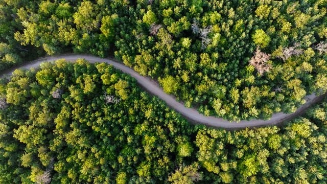 $4,149,000 | 404 Barry Drive, Alger, MI 48610