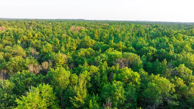 $4,149,000 | 404 Barry Drive, Alger, MI 48610