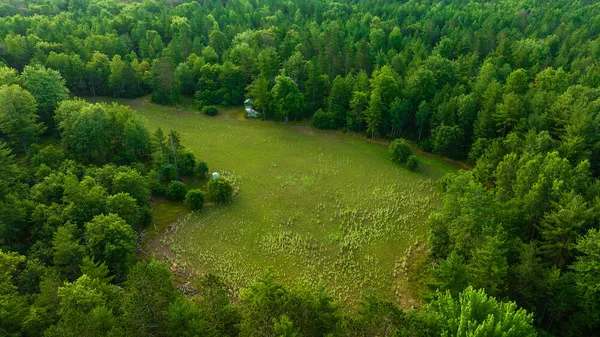 $4,150,000 | 404 Barry Drive, Alger, MI 48610