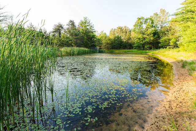 $4,149,000 | 404 Barry Drive, Alger, MI 48610