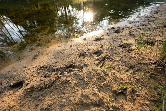 $4,149,000 | 404 Barry Drive, Alger, MI 48610