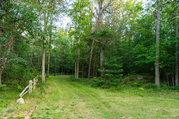 $4,150,000 | 404 Barry Drive, Alger, MI 48610