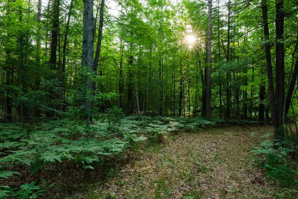 $4,150,000 | 404 Barry Drive, Alger, MI 48610