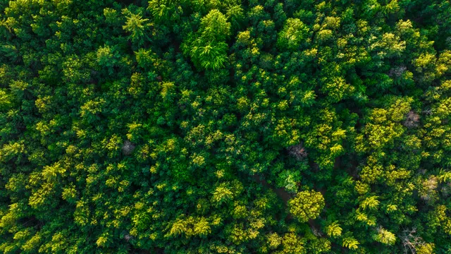 $4,149,000 | 404 Barry Drive, Alger, MI 48610