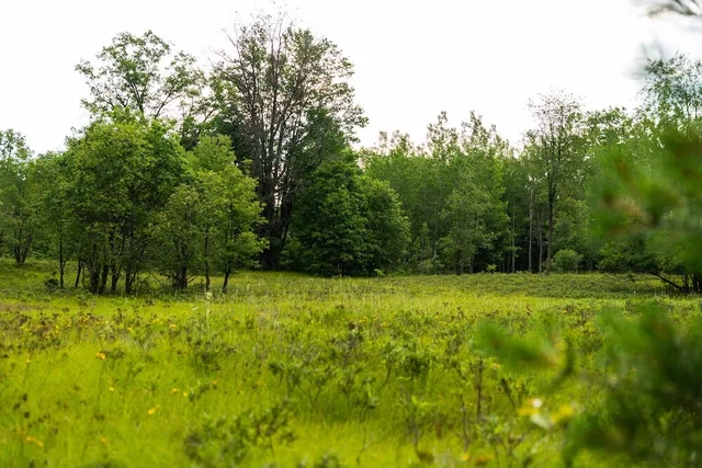 $4,149,000 | 404 Barry Drive, Alger, MI 48610