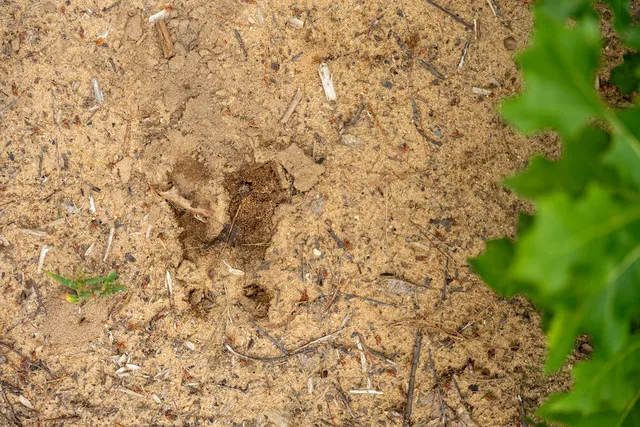 $4,149,000 | 404 Barry Drive, Alger, MI 48610