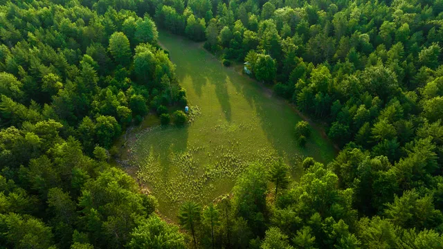 $4,149,000 | 404 Barry Drive, Alger, MI 48610