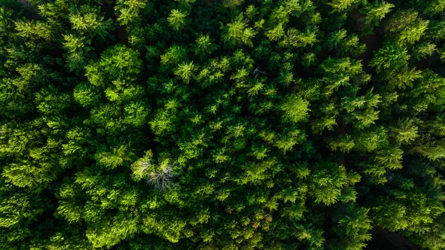 $4,149,000 | 404 Barry Drive, Alger, MI 48610