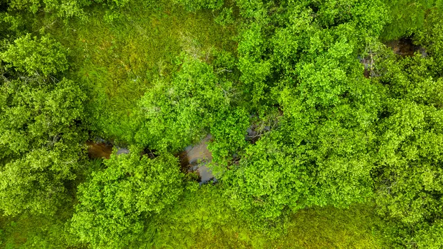 $4,149,000 | 404 Barry Drive, Alger, MI 48610