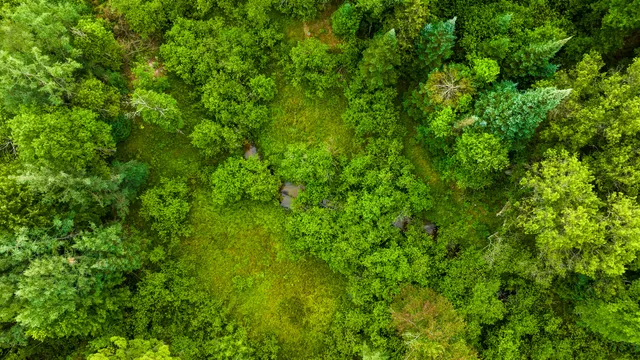 $4,149,000 | 404 Barry Drive, Alger, MI 48610