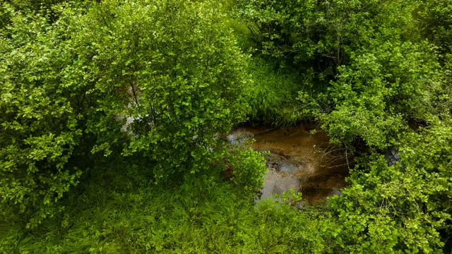 $4,149,000 | 404 Barry Drive, Alger, MI 48610