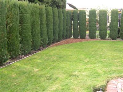 1945 Piner Road, Unit 145 Santa Rosa, CA 95403 - Photo 3 of 11 a view of a garden with tall buildings
