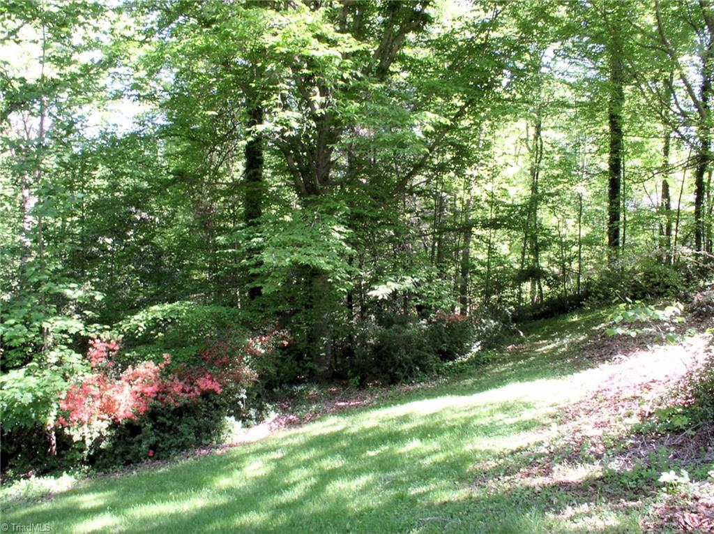 383 Hawthorne Road Elkin, NC 28621 - Photo 29 of 30 View of back and side yard.