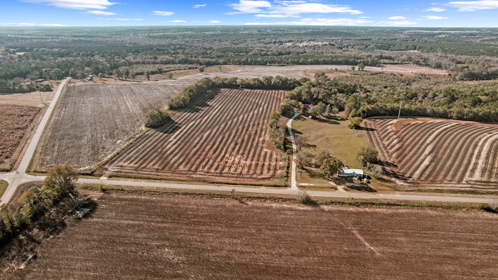 0 Gilley Mill Road Headland, AL 36345 - Photo 13 of 14