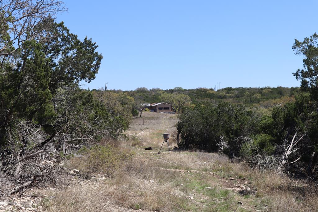 462 Schenk Witkowski Road Rocksprings, TX 78880 - Photo 28 of 51