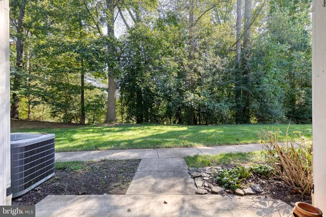 a view of a park and trees