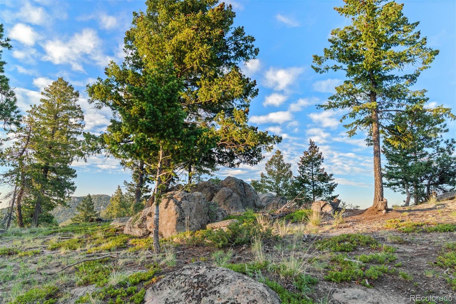 6371 Canyon Creek Road Evergreen, CO 80439 - Photo 43 of 50 a view of a garden