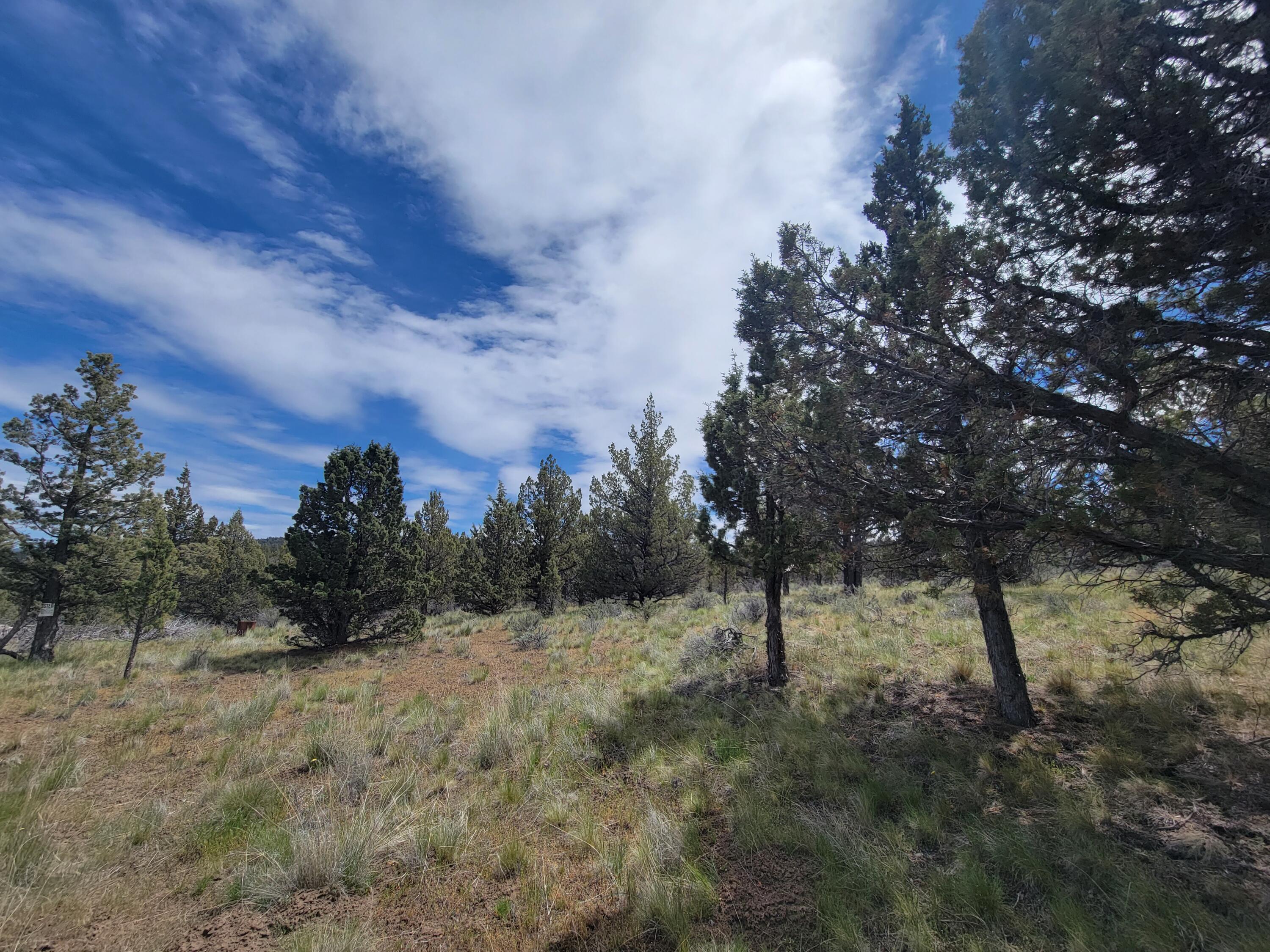 1500 Southeast Osprey Road, Unit 62 Prineville, OR 97754 - Photo 3 of 26 Clearings 03