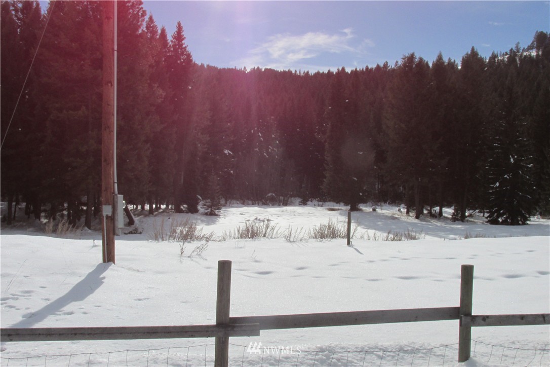 256 Old Kettle Falls Road Republic, WA 99166 - Photo 11 of 14