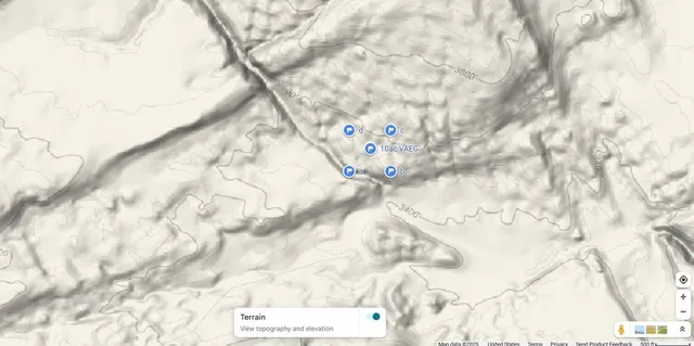 a picture of flowers