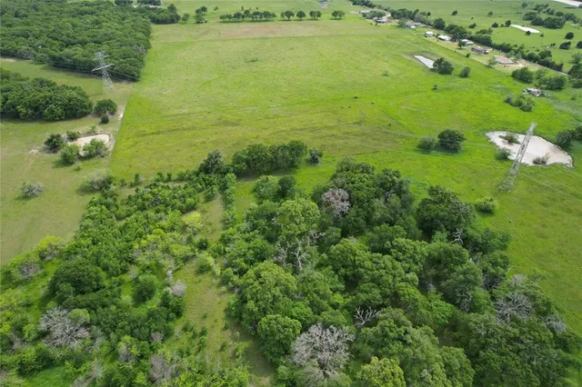a view of a garden with an ocean